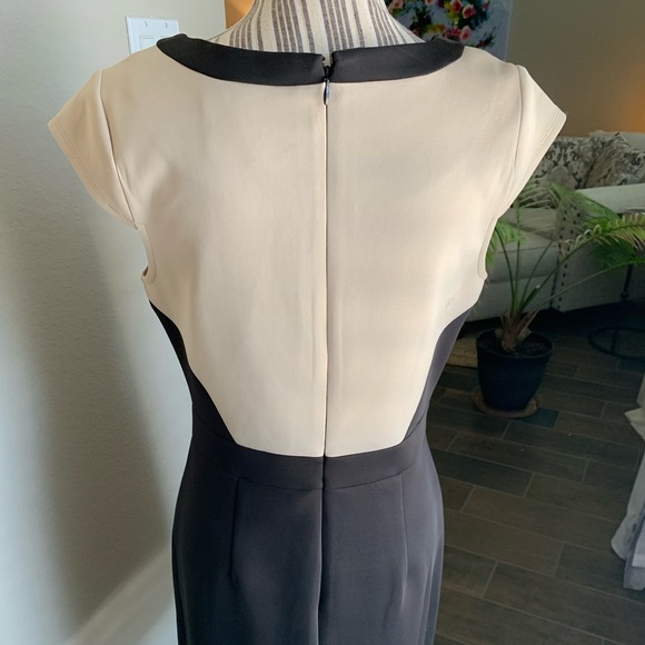 Lace Overlay Cap Sleeve Dress 
Size: 8
Color: Taupe/black - Picture 4 of 5